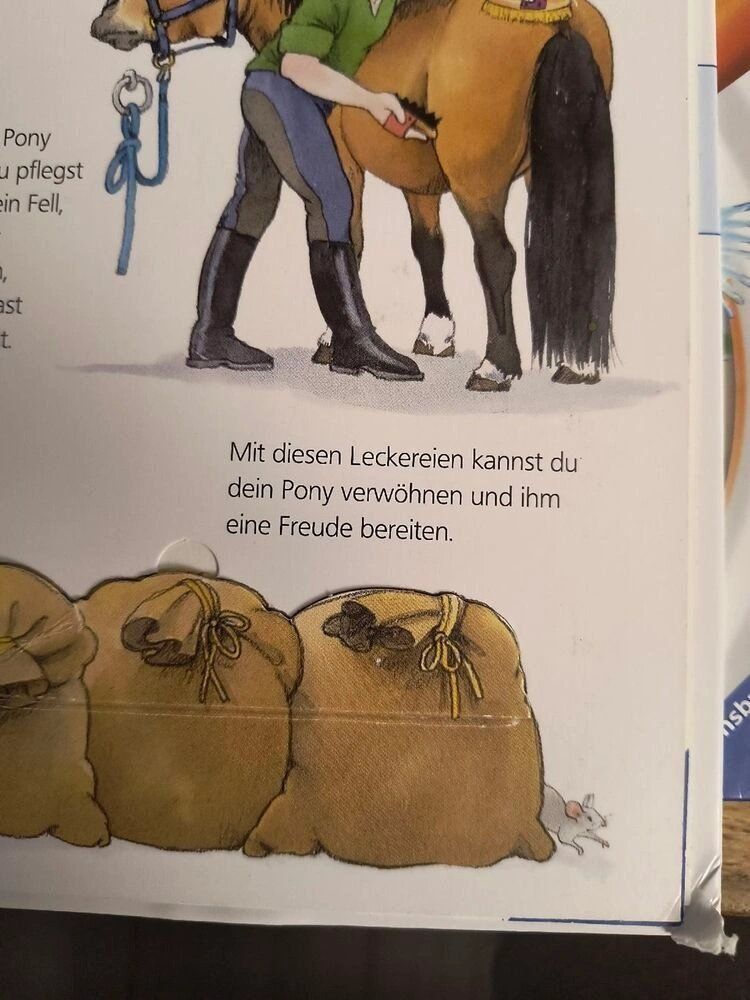 Libri: Kinderbuch Das Pony Pop-Up – Usato da Oberweningen venduto da Bumblebee2 4