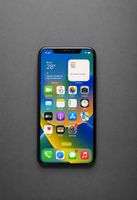 Apple iPhone X 256 GB Space Gray
