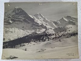 altes Foto, Grindelwald, 29 x 38 cm. defekt