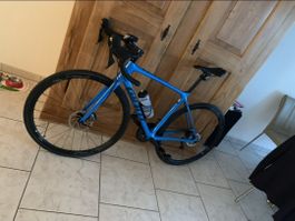 Rennrad Giant