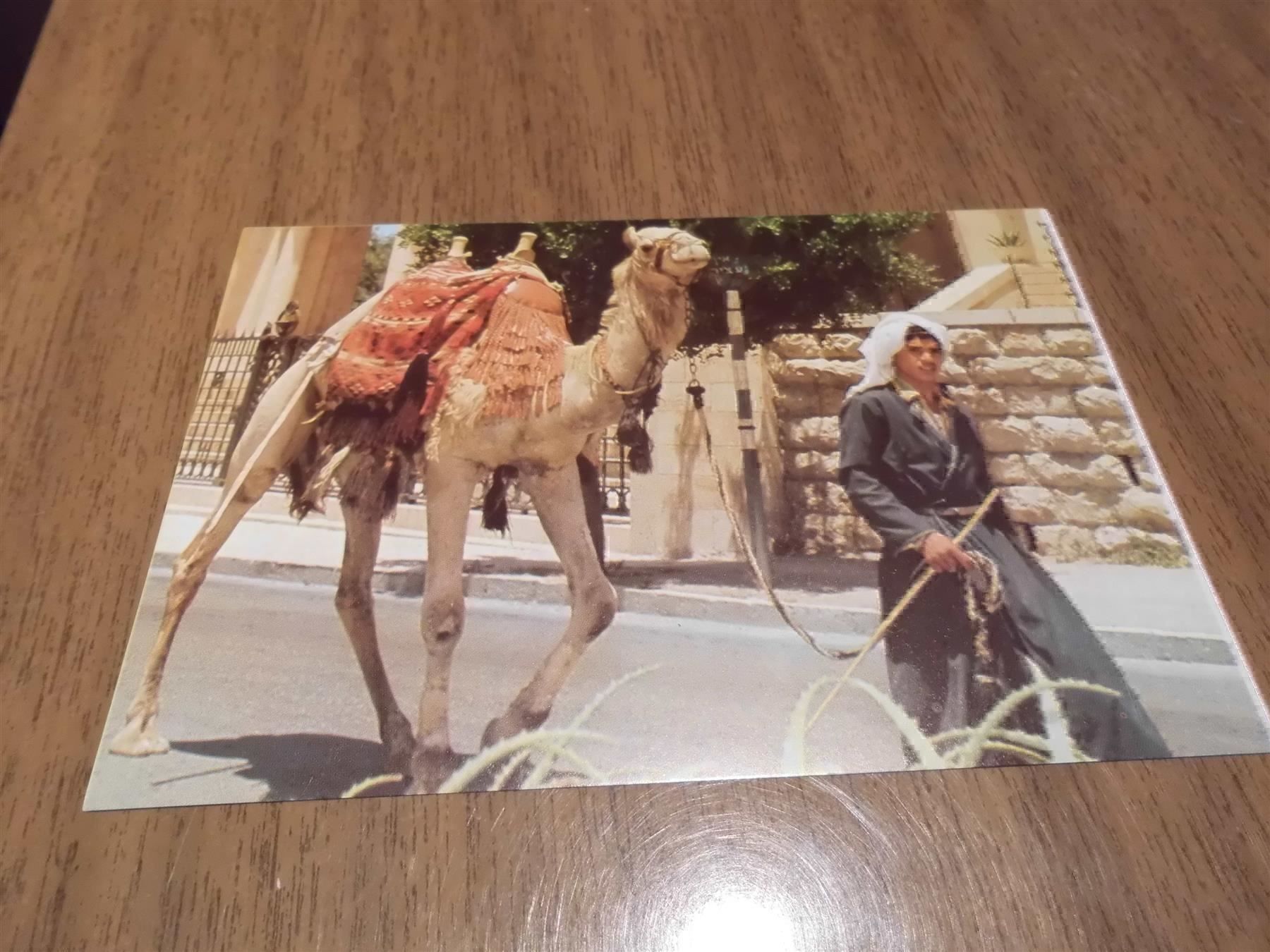 Cartoline postali: Ansichtskarte Jerusalem Old City, 1042 – Usato da Zürich venduto da Motzkuh