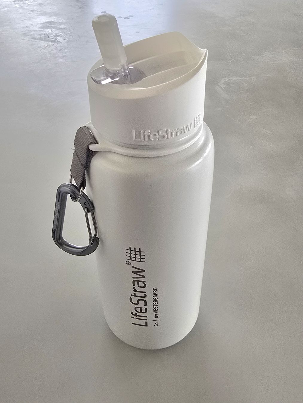 Borracce & Thermos: LIFESTRAW CHROMSTAHL WASSERFILTER FLASCHE 700ML – Nuovo e nell'imballaggio originale da Unterstammheim venduto da P911993 6