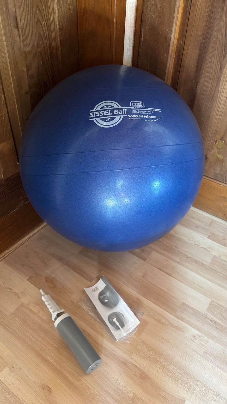 Palloni: Sissel Sitzball – Usato da Worb venduto da nmvd