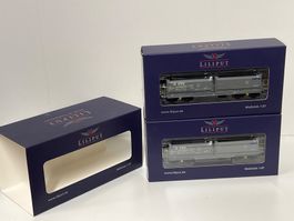 Liliput L230156 Set aus 2 Muldenkippwagen,VTG, Bauart Fans-u