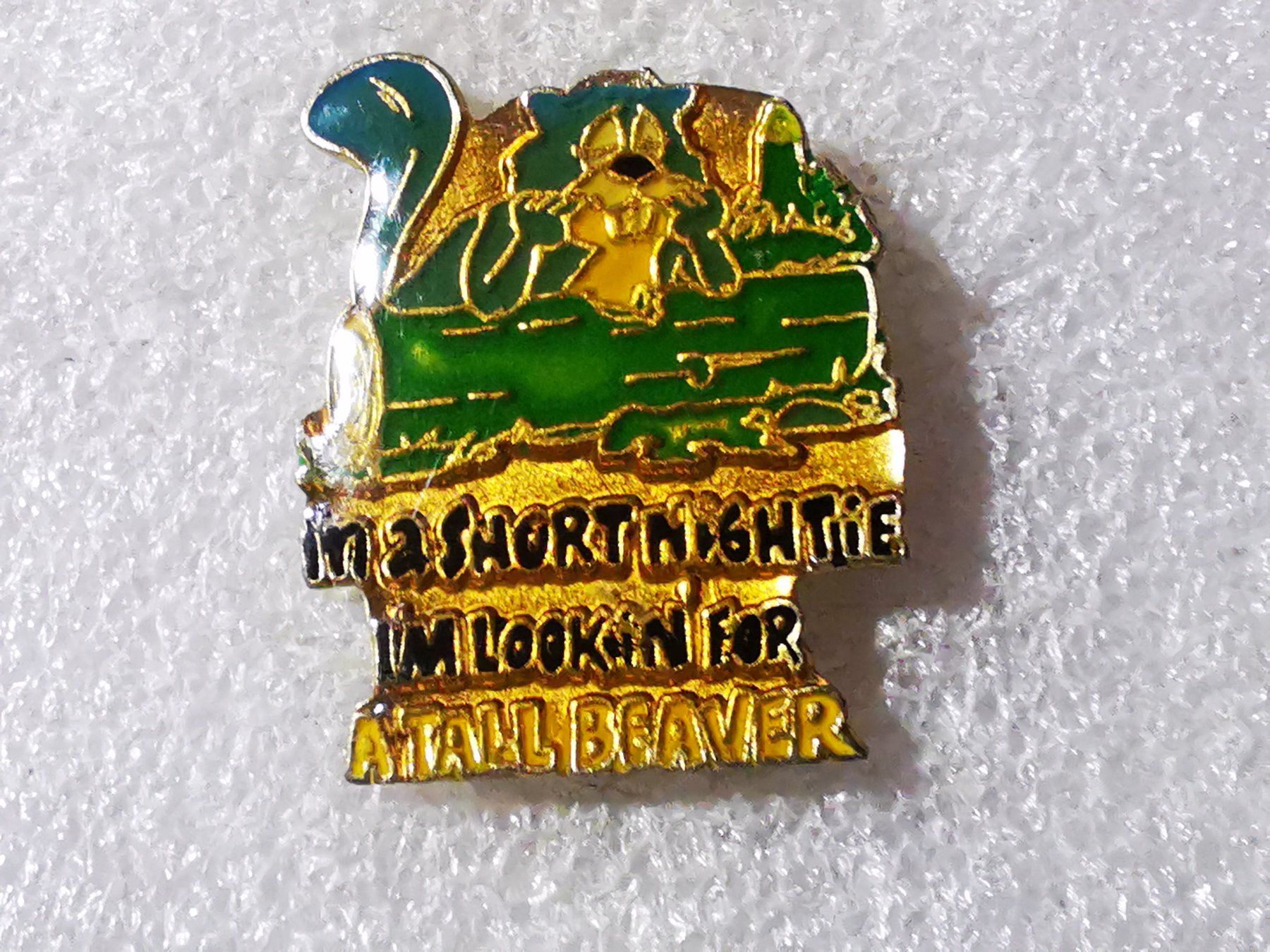 Plaquettes & Badges: Ansteckpin 16: Beaver – D'occasion à Oppligen par Pin-Fall-Shop