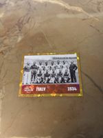 Panini Bild FWC9