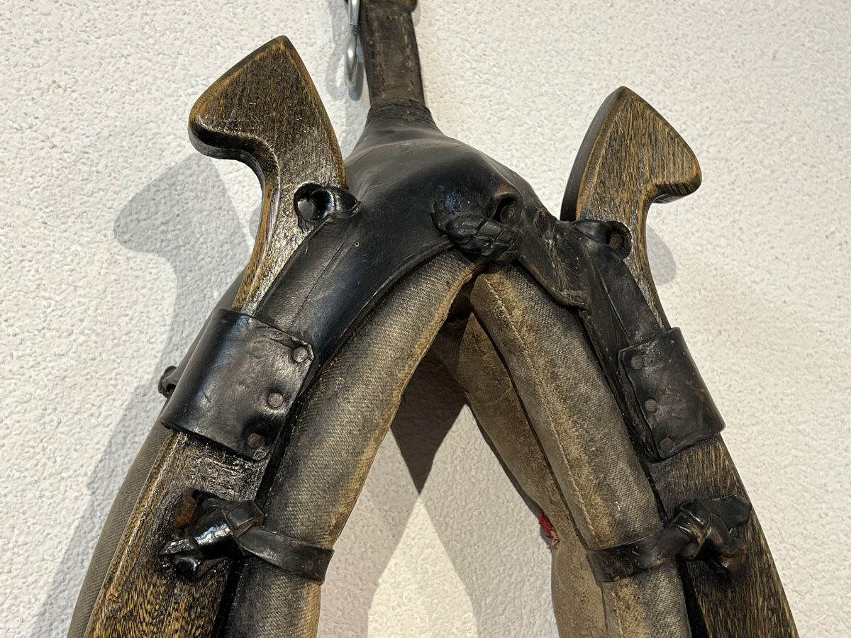 Briglie & Cavezze: Pferde Kummet – Usato da Opfikon venduto da lsp01 2