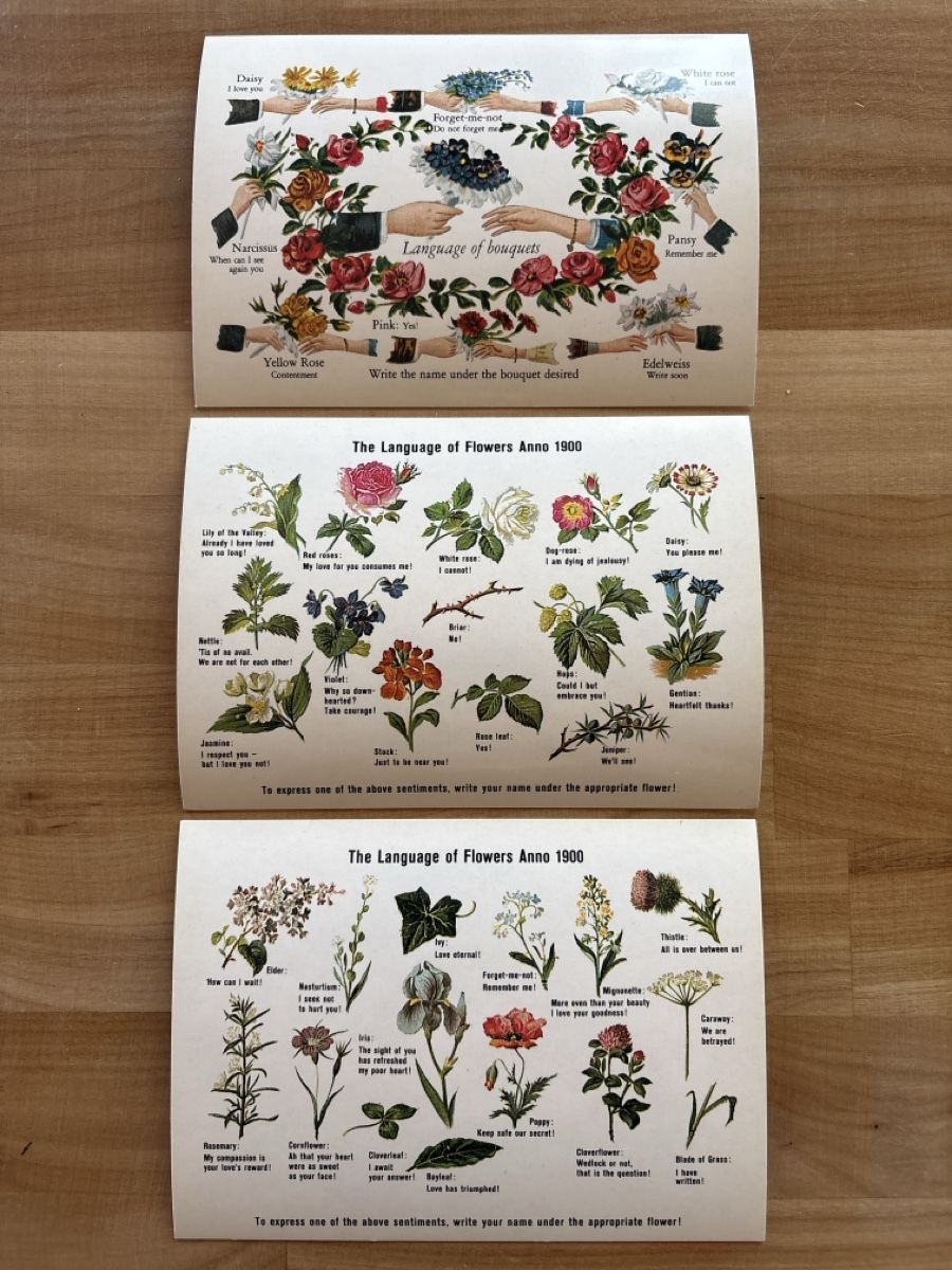 Ansichtskarten: AK mit Blumen - Sprache – Gebraucht aus Rümlang von Kartenpost1