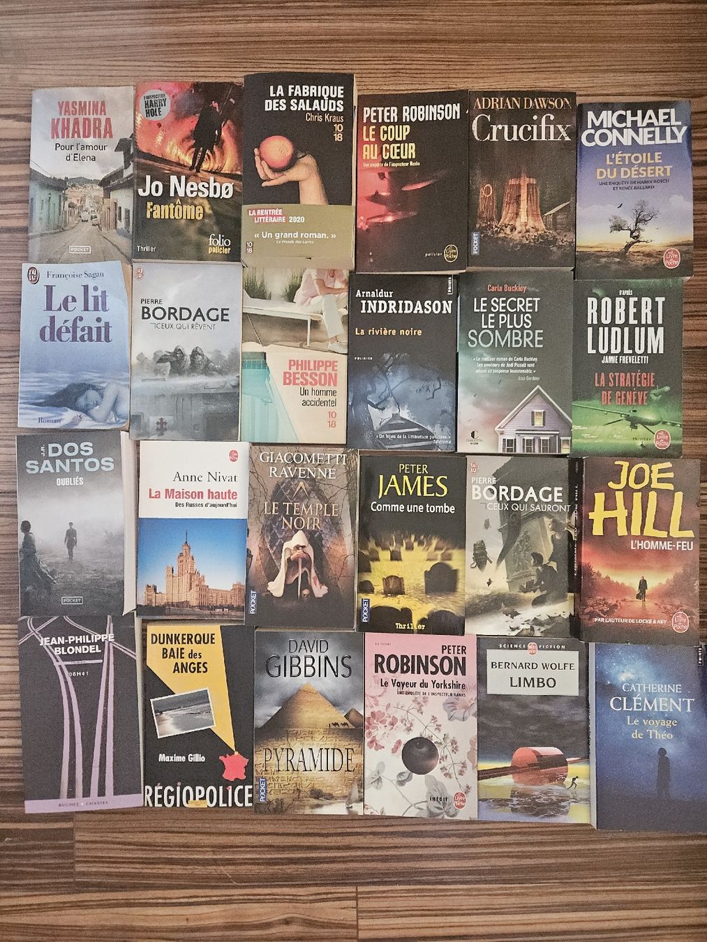 Libri: 85 livres poches & gd format – Nuovo (secondo la descrizione) da Thônex venduto da lacomtessedesfees 2