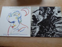 Stephan Eicher   2 LP's ,  I Tell This Night + Les Chansons