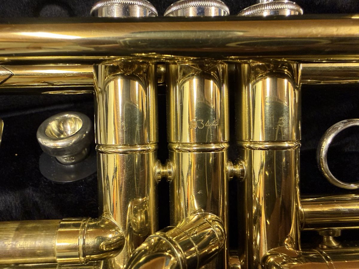 Musikinstrumente: Trompete Stagg 77-T Bb – Neu (gemäss Beschreibung) aus Zürich von ZurichVibe 2