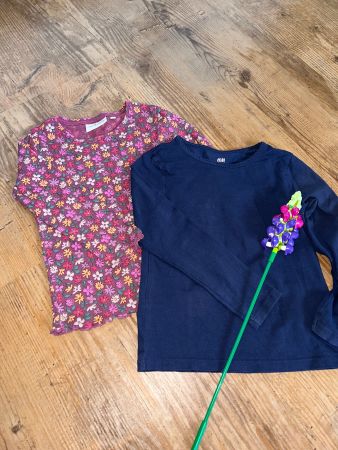 2 Langarmshirts 104