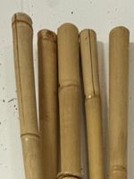 5 Bambusrohre Ø 7-8 cm Länge 200 cm