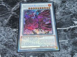 Yu-Gi-Oh! / Rötlicher Rosendrache (Prismatic Secret Rare)