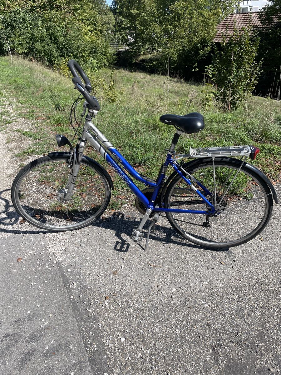 Biciclette: Damenfahrrad – Usato da Utzenstorf venduto da porsche63