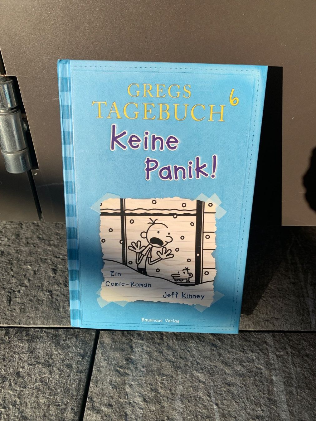 Libri: Gregs Tagebuch – Usato da Sursee venduto da roremajaba