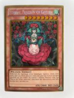 YuGiOh Gold | Tytannial, Prinzessin von Kamelien | Gold