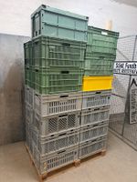 26x Transportkisten Plastikboxen Kisten