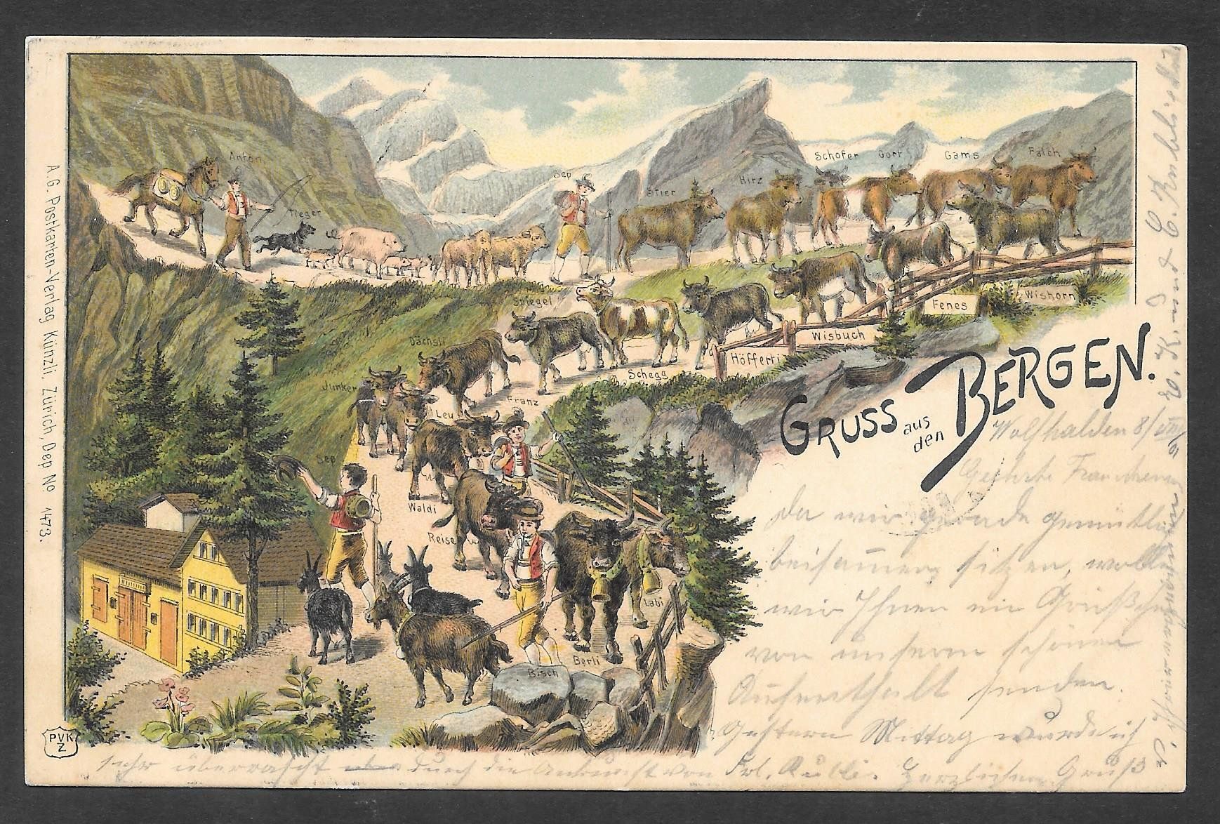 Cartoline postali: Gruss aus den Bergen Lithografie – Usato da Olten venduto da clotaldi