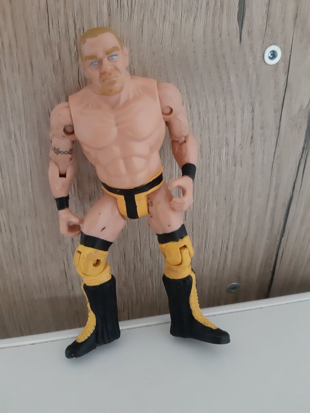 WWE Statuette: WWE ECW Shane Douglas Action Figure – Usato da Buchs SG venduto da Bray_Law