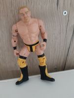 WWE ECW Shane Douglas Action Figure