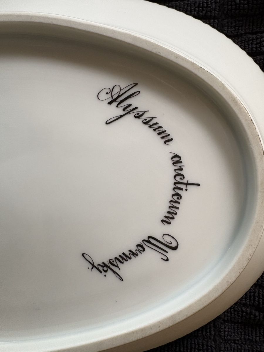 Royal Copenhagen Piatti: Royal Copenhagen Flora Danica Serving Dish – Usato da Rifferswil venduto da jasonevans76 4