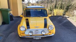 ROVER MINI Cooper 1.3i