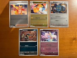 Pokemon Karten Set Reverse (Versand gratis)