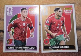 Panini 2026 💥Extra Sticker💥 