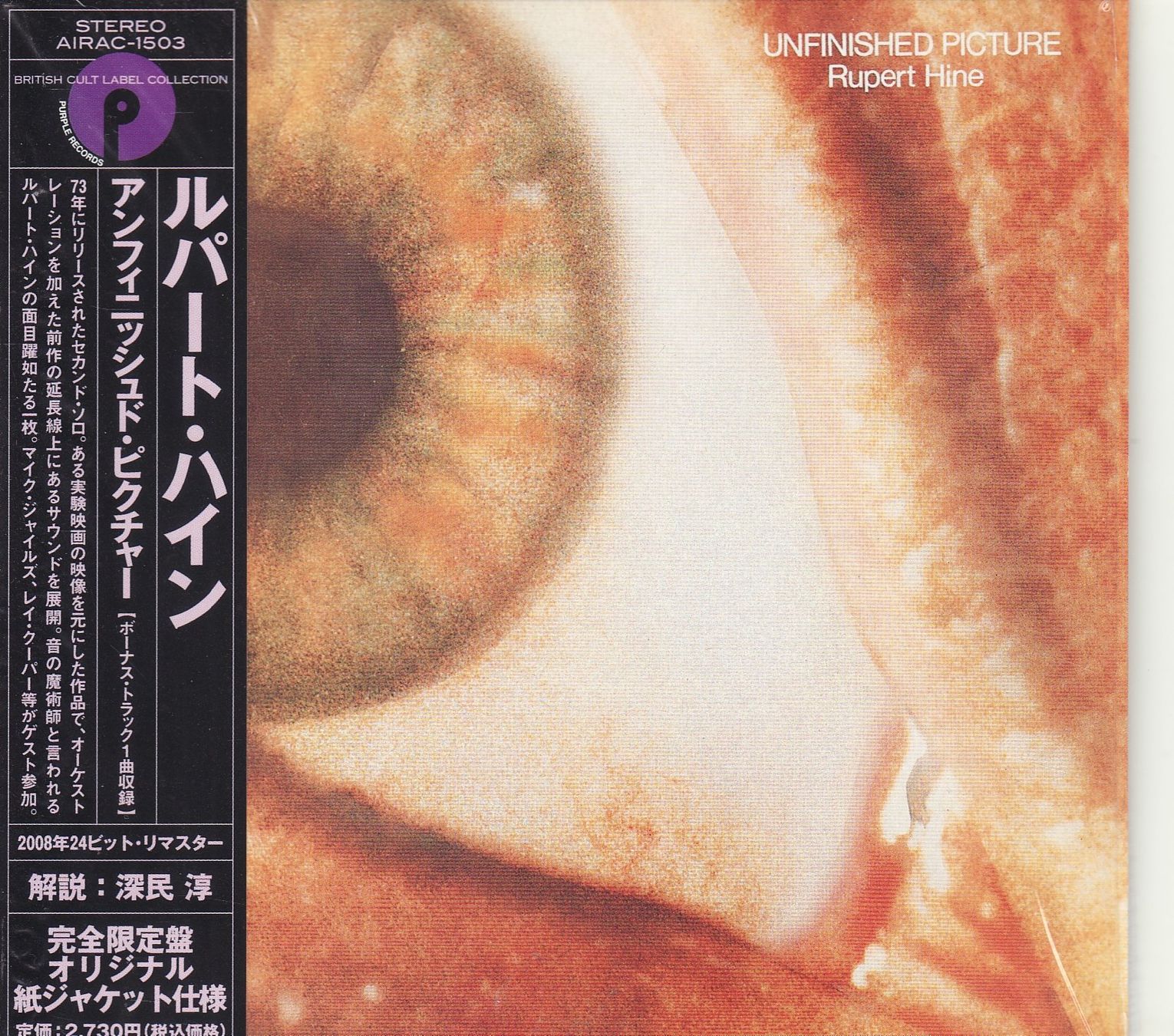 CDs: Rupert Hine – Unfinished Picture – Neuf (Voir description) à Boussens par catfood01