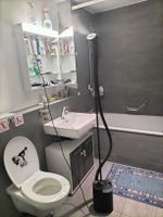Dampfreiniger/Steamer zu verkaufen! Schnell & effizient