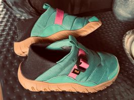 Teva