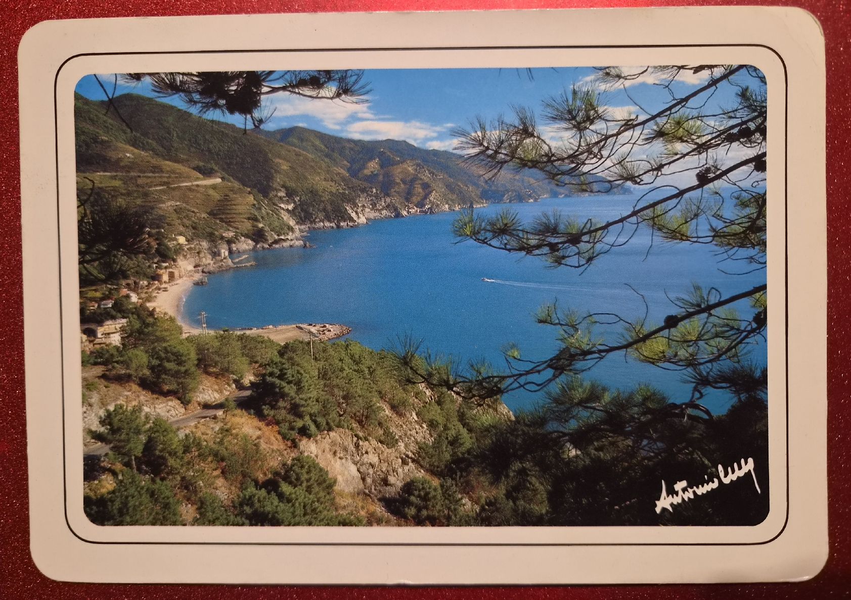 Cartoline postali: Cinque Terre Italien 1995 – Usato da Melchnau venduto da Arthurius