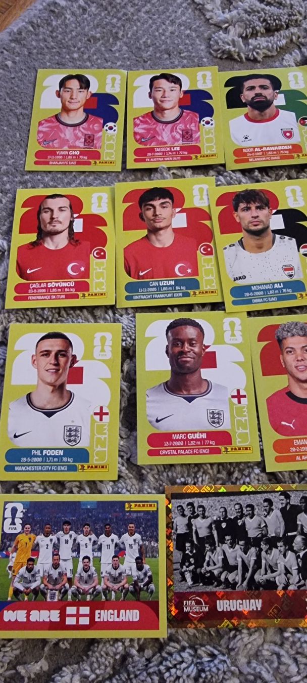 Panini Cartes à collectionner: 22 Panini WM 2026 Sammelbilder – D'occasion à murten par Bmw5r 1