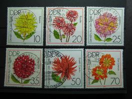 DDR 1979 Dahlien Ausstellung gest.