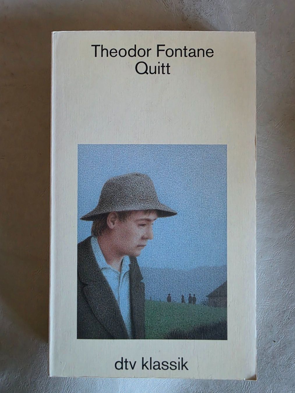 Bücher: Theodor Fontane - Quitt - dtv Klassiker - 1996 – Gebraucht aus Walterswil BE von Lonitti