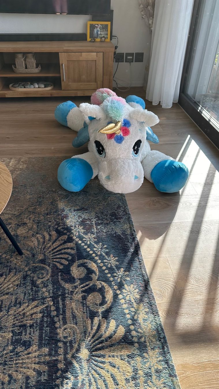 Giocattoli: Einhorns Kinder spielen – Usato da Volketswil venduto da Nia011 1