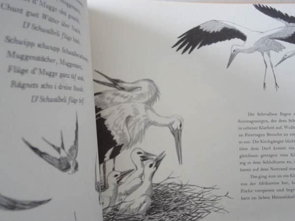 Libri: Familie Langbein - 1951 – Usato da Chur venduto da omonia 7