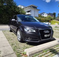 Audi A3 1.6 TDI – 105 PS – MFK 01/2026 – Reparaturbedarf