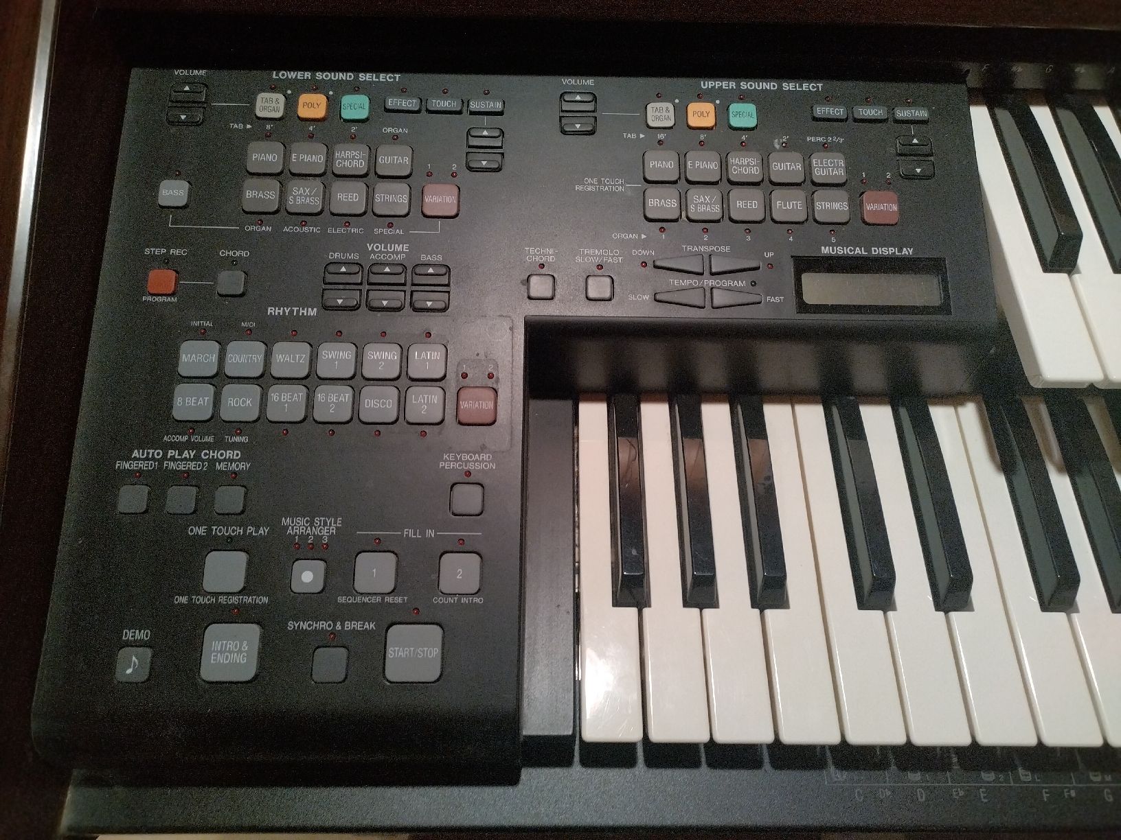 Technics Strumenti musicali: Technics SX-EN2 Orgel Keyboard - guter Zustand – Usato da Langwies venduto da Rockyjoe83 1
