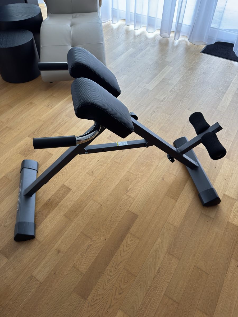 Finnlo Hometrainer: Rückenstrecker Finnlo – Nuovo (secondo la descrizione) da Birmenstorf AG venduto da meiierx