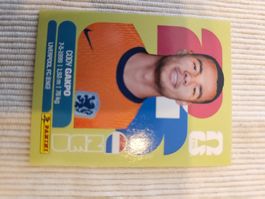 Ned20