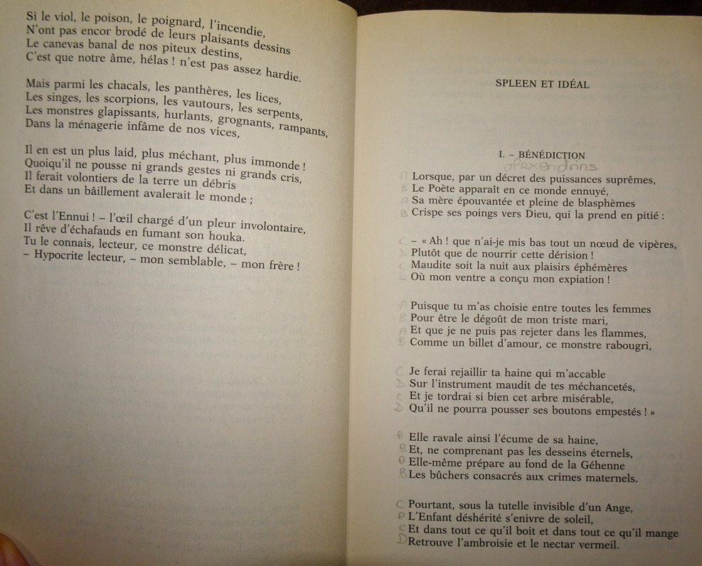 Bücher: Livre Les Fleurs du Mal Charles Baudelaire – Gebraucht aus Châtelaine von fil_7lqg 4