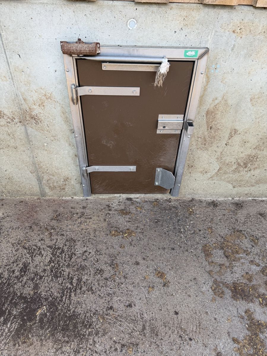 Porte: Auslauftür Mastschweine – Usato da Neuenegg venduto da tin_gv8m