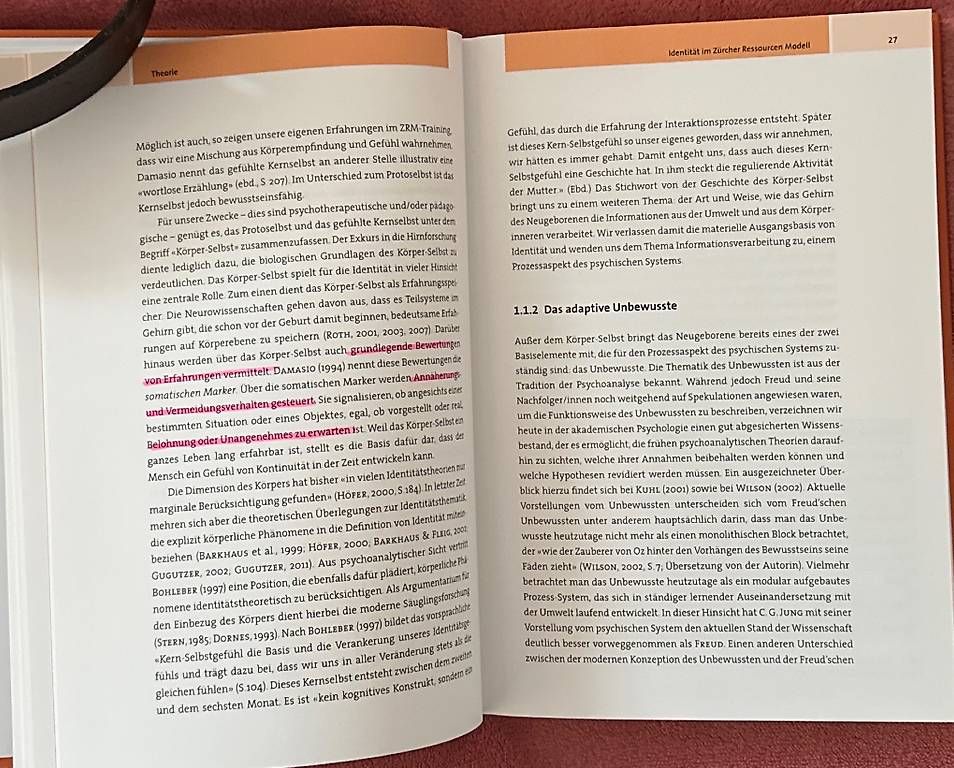 Libri: Buch "Ich packs!" – Usato da Merlischachen venduto da tsb-2025 1