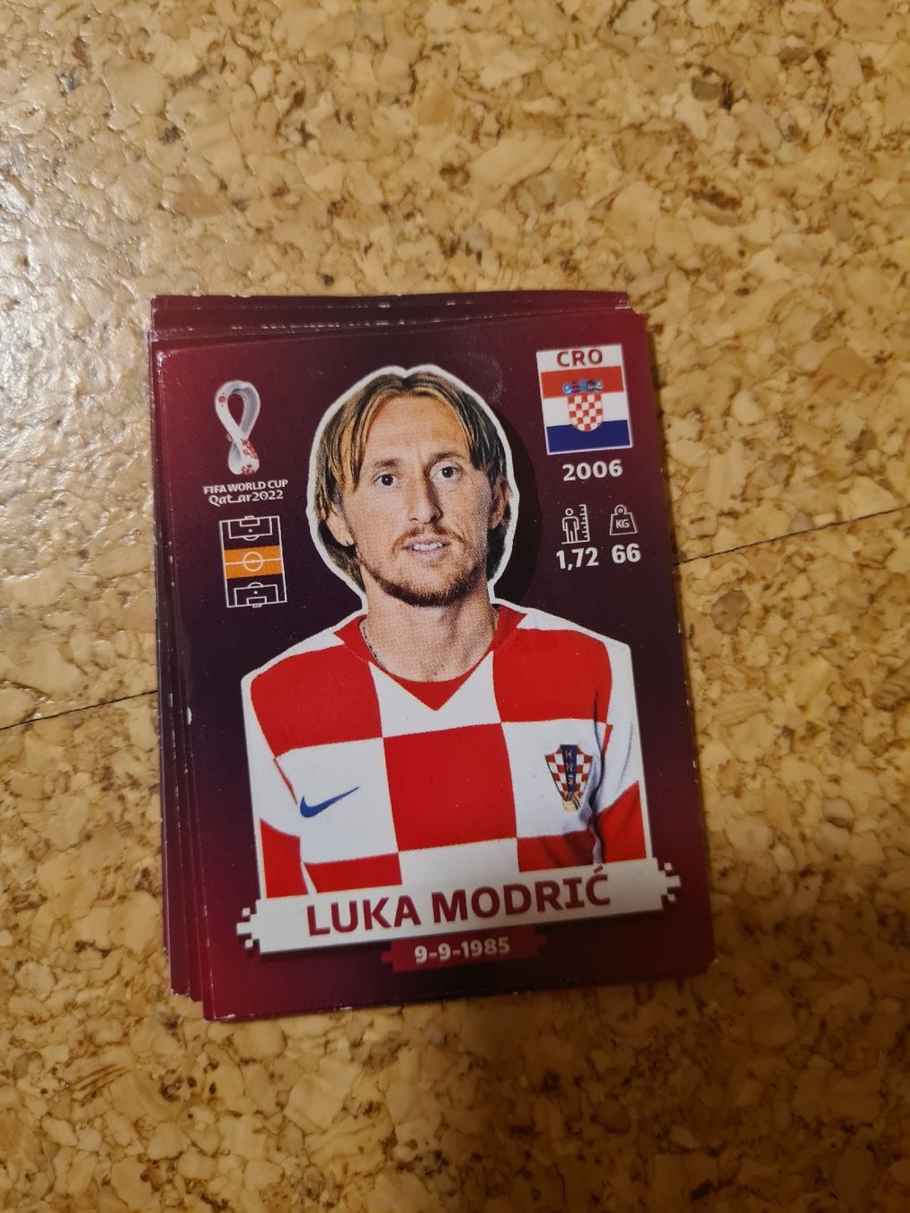 Panini Carte collezionabili: 7 Pannini WM 2022 Karten – Usato da Schwellbrunn venduto da ailine