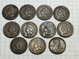 Sammlung USA - Indian Head Cents 1882 - 1910 