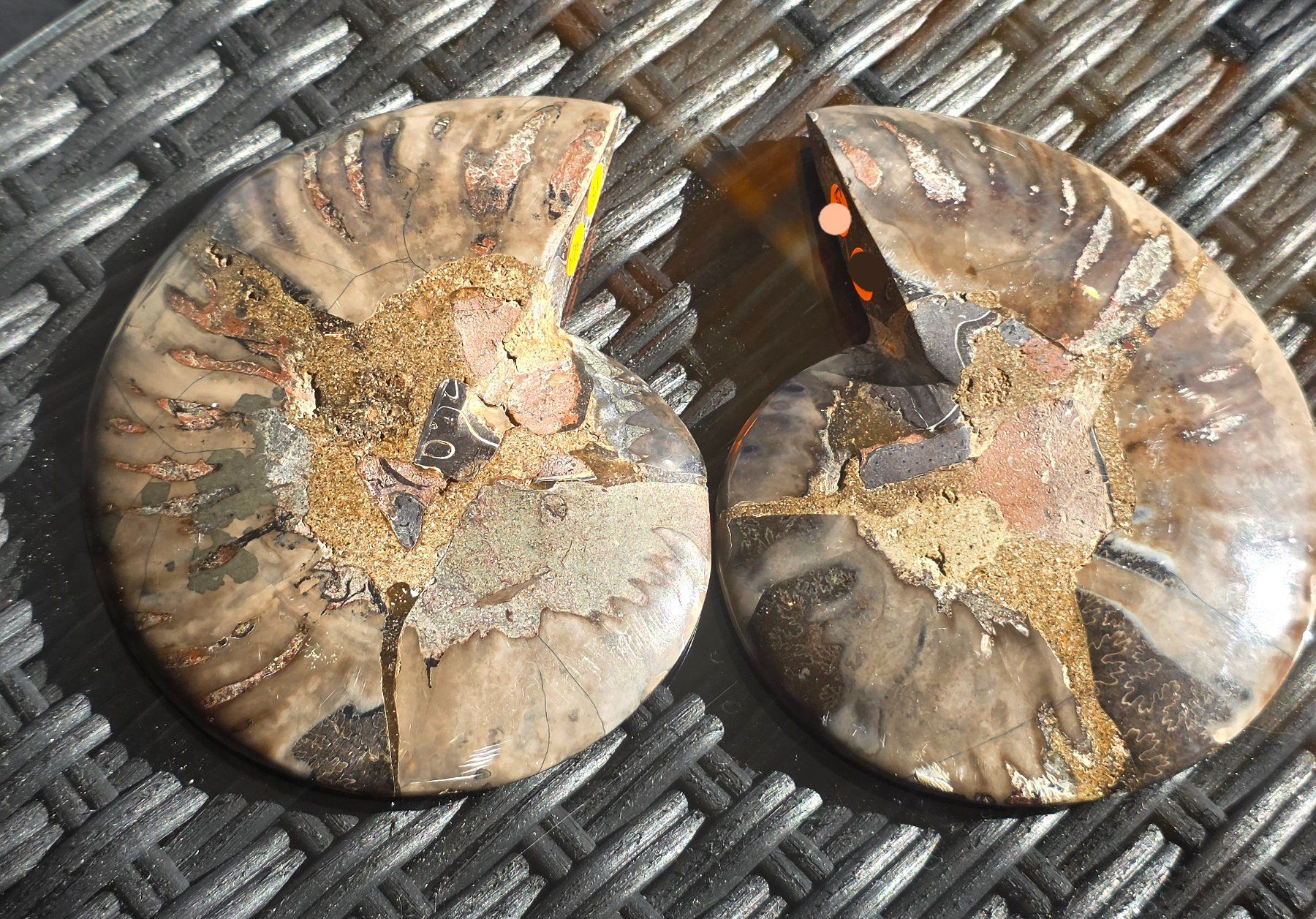 Fossili: Ammoniten Paar Schwarz P10 322g – Nuovo e nell'imballaggio originale da Matzingen venduto da Shay_Crystalz 1