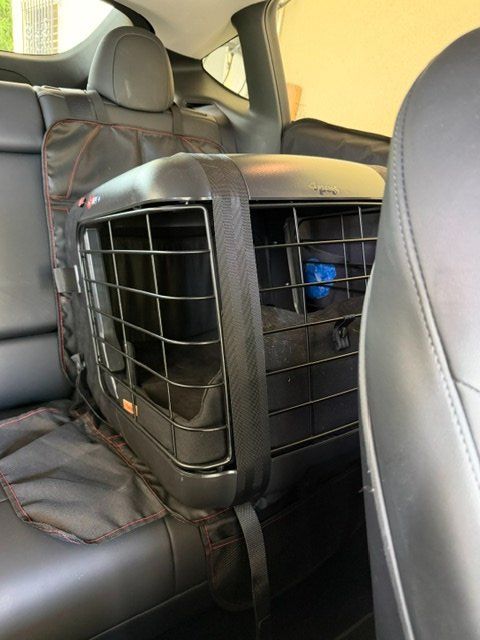 4pets Gabbie, trasporto & Sicurezza: 4pets Caree Transportbox – Usato da Ettingen venduto da swisstopdeal 3