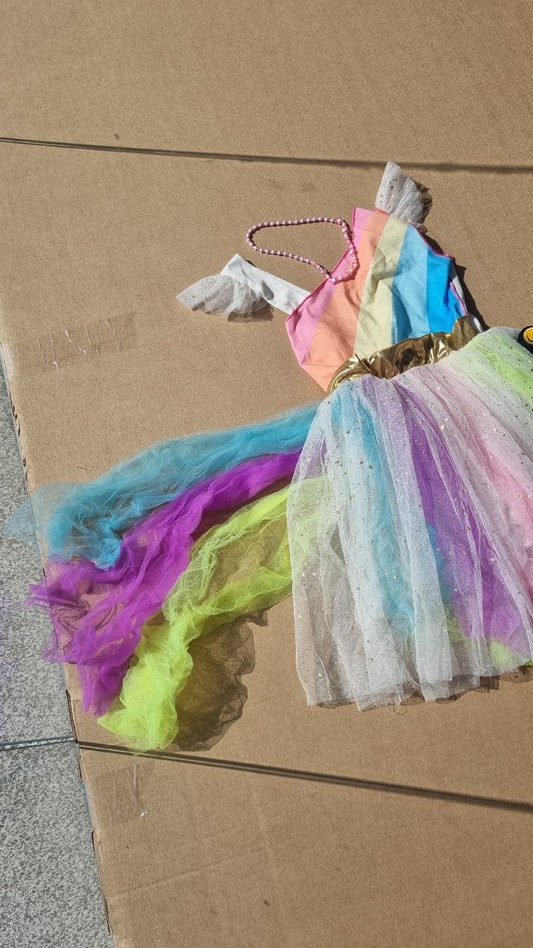 Costumi: Einhorn Kostüm – Usato da Münchwilen TG venduto da sli_5dvb 3